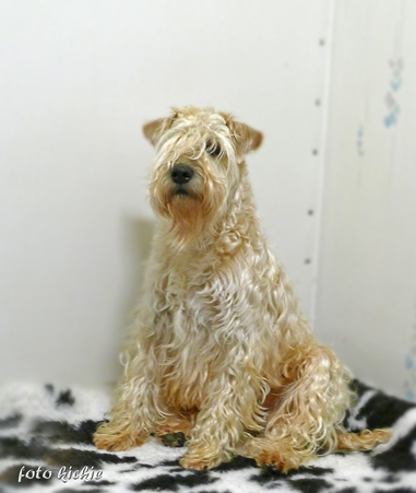 Amelea-april2016.jpg Amelea-april2016.jpg