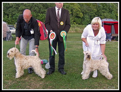 BIM (Sune) o BIS (Kaleigh) Champion-Nr34-o-6 2009 BIM-o-BIS-Champion-Nr34-o-6.jpg