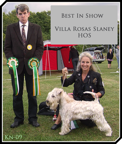 Villa Rosas Slaney HOS BIS Lundegård 09 BIS-Villa-Rosas-Slaney-HOS.gif