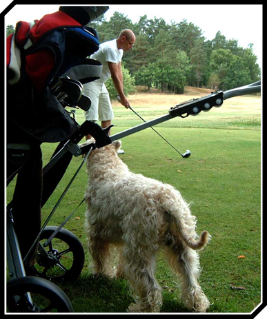 Villa Rosas Heilyn golf coatch Heilyn-golf-coatch.jpg