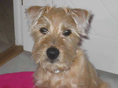 Laorie-Sally-gronkvist-web.jpg Laorie-Sally-gronkvist-web.jpg