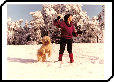 Mumin-in-the-snow Mumin-in-the-snow.jpg