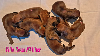 N3-kullen-1dygn.jpg N3-kullen-1dygn.jpg