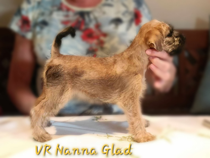 N5-manke-Nanna-Glad-b.jpg N5-manke-Nanna-Glad-b.jpg