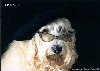 Tootsie.JPG Tootsie.JPG
