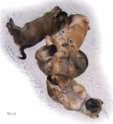 X2-35v-sleeping.jpg