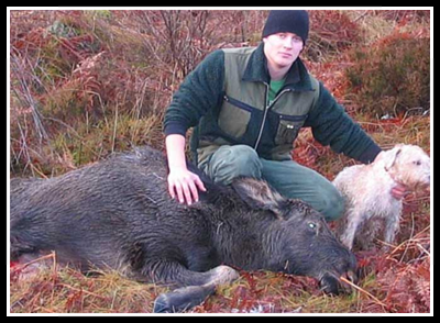 Villa RosasLaoise-elkhunting web-Laoise-elkhunting.jpg