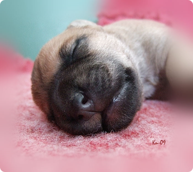 x2-6days-male4-sleeping.jpg x2-6days-male4-sleeping.jpg